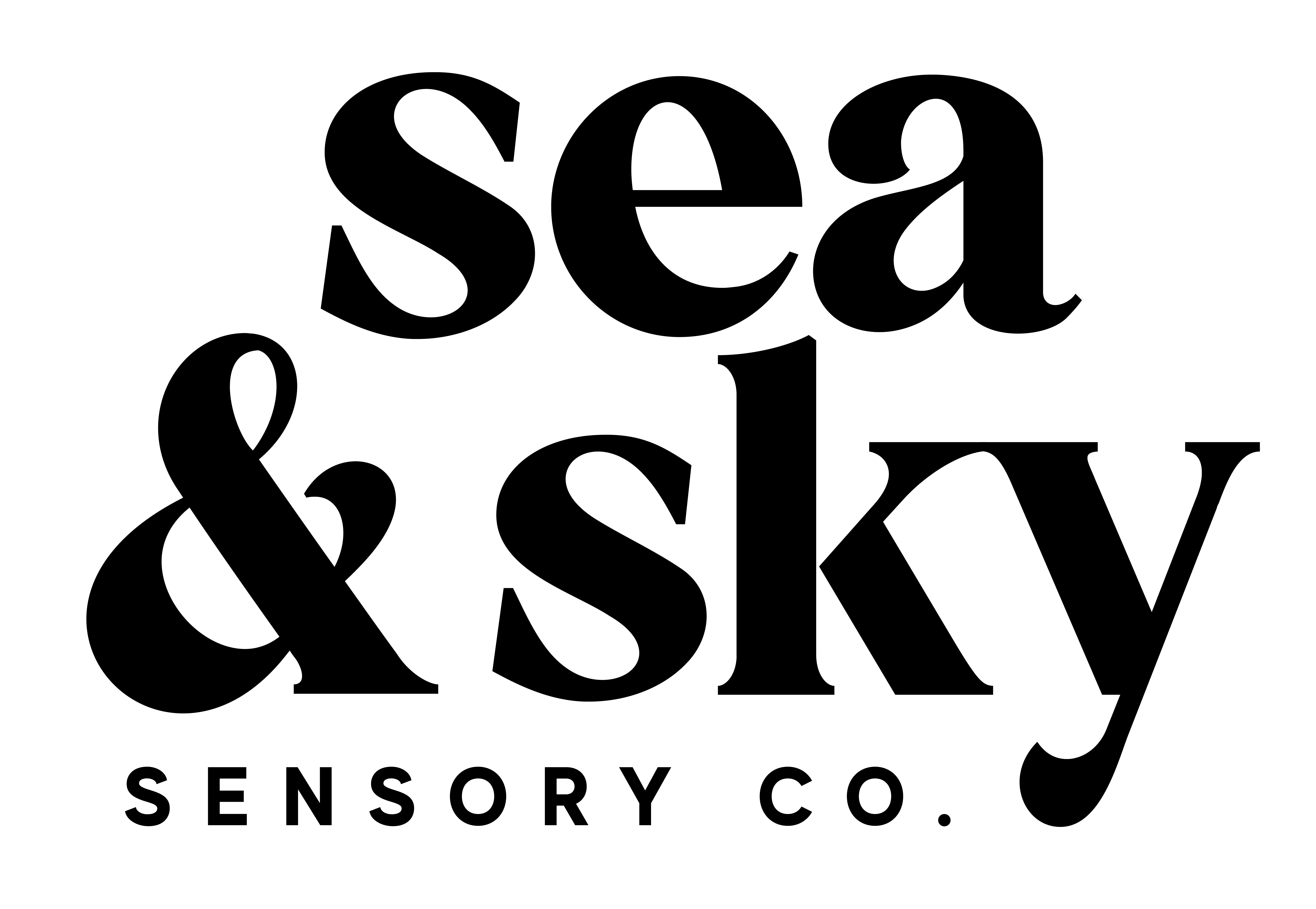 Sea and Sky Logo